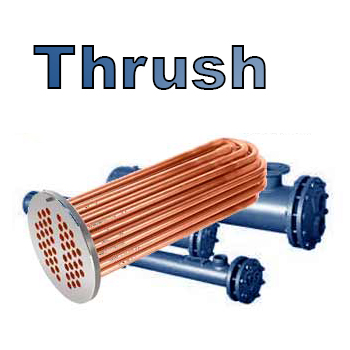 Thrush Steam to Liquid U-Tube Heat Exchanger