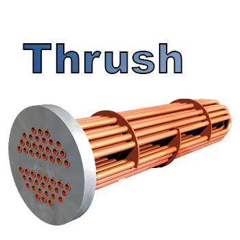 Thrush Steam to Liquid Tube Bundle