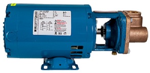 Burks Series CT Pumps