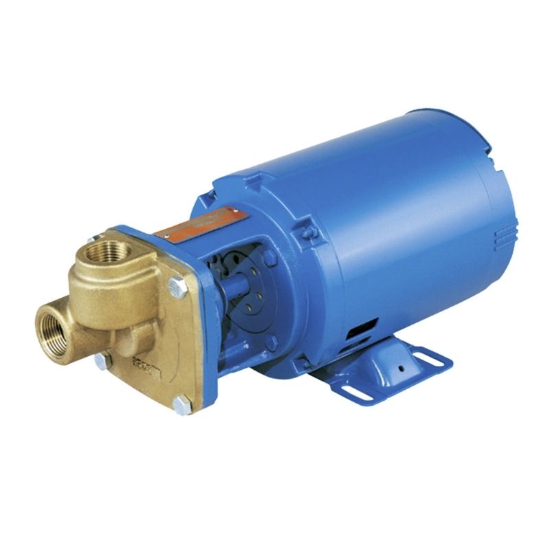 Burks Series CT Pumps