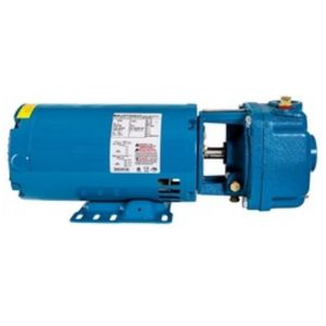 Burks Series CS Pumps