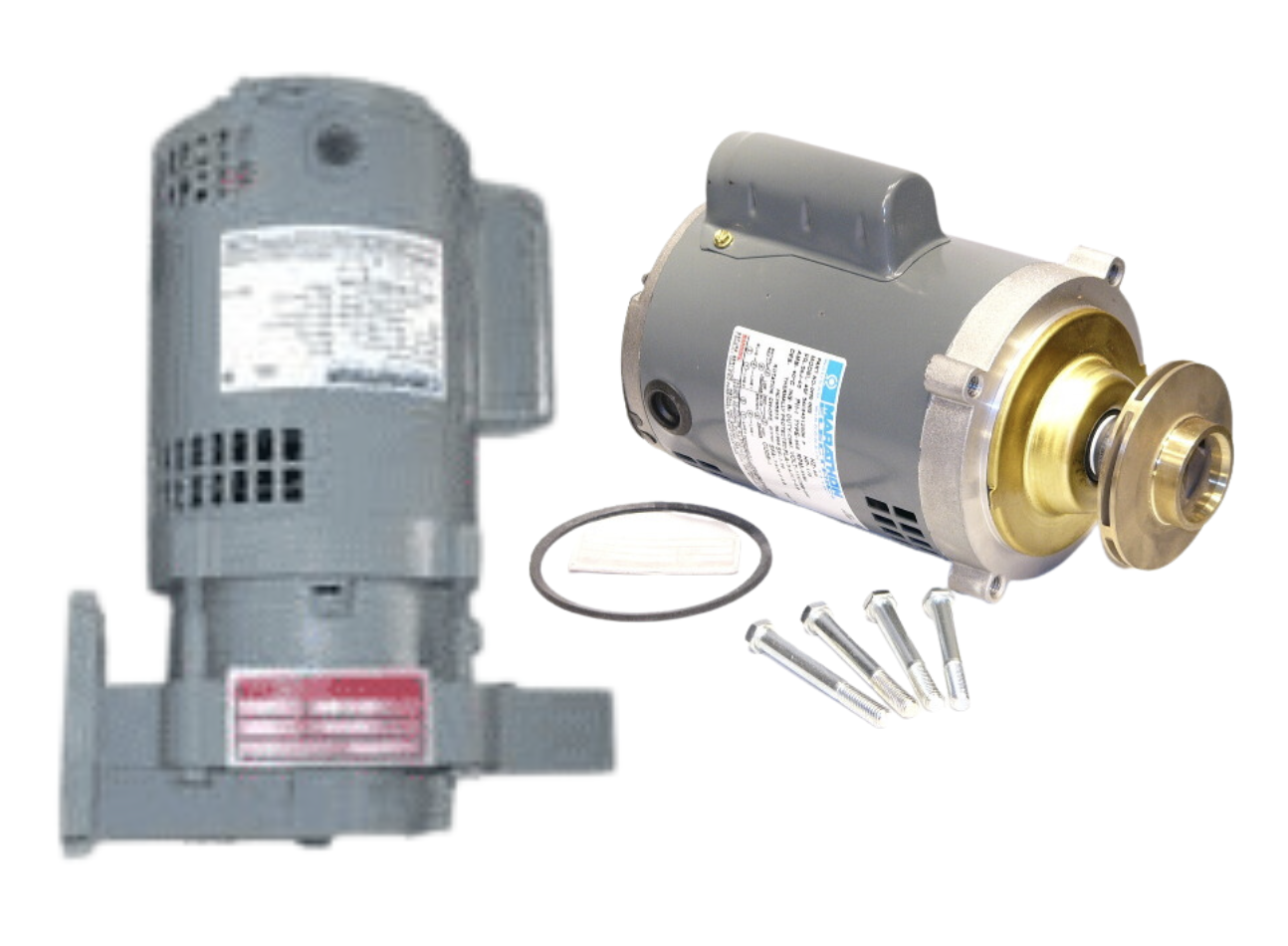 OEM Replacement Pump & Motor for "Watchman Series"