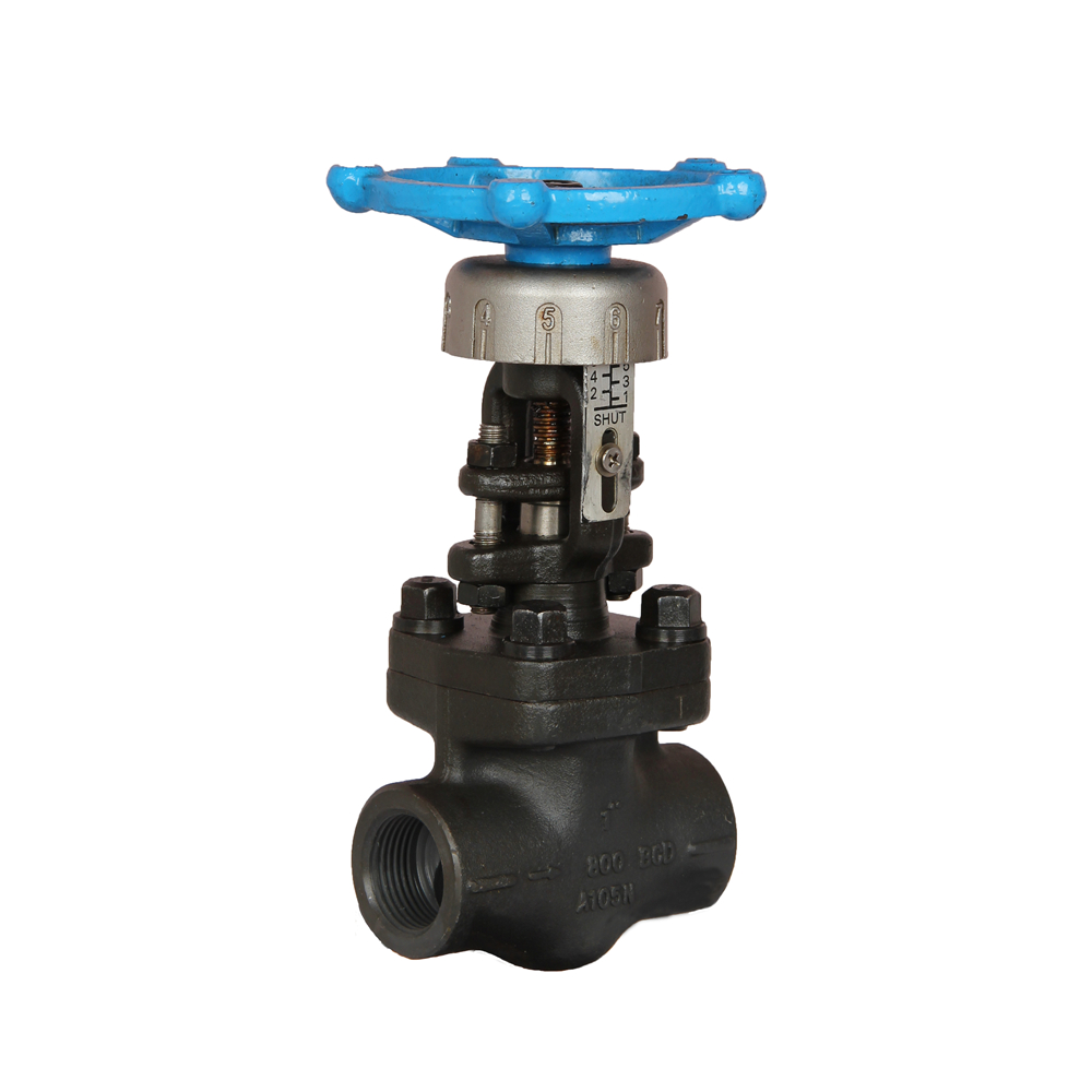 Steamco GLIND800F5T5 Metering Flow Control Blowdown Valve